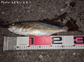 イシモチ