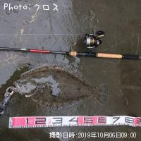 ヒラメ