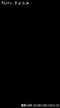 シーバス