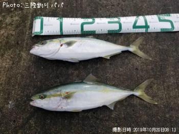 ʥ