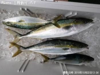 饵
