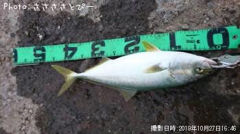 イナダ