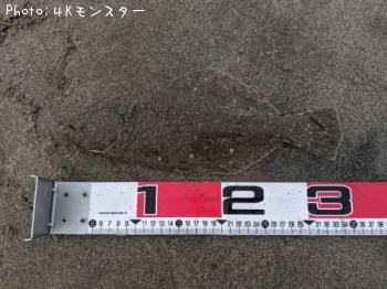 ソゲ