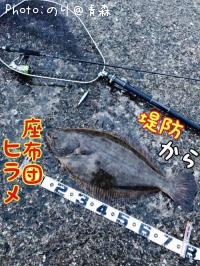 ヒラメ