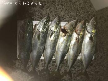 イナダ