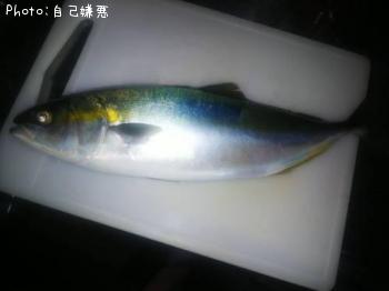 ヤズ