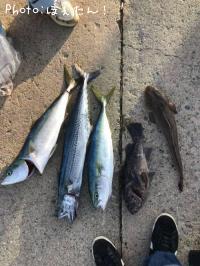釣果