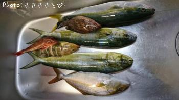 祴ʥϥϥۥܥ