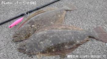 ヒラメ