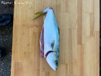 ʥ