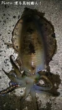 ꥤġ
