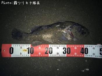 クロソイ
