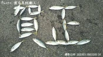 アジ