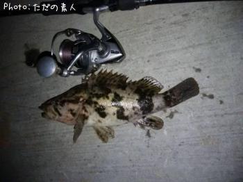 ΥХ