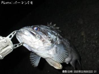 クロソイ