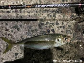アジ