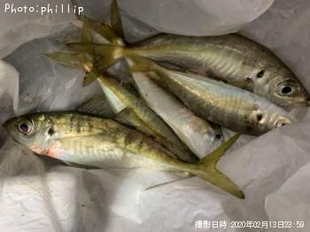 アジ
