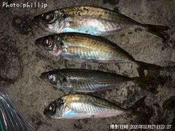 アジ