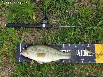 ¥Ö¥é¥Ã¥¯¥Ð¥¹