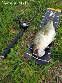 ¥Ö¥é¥Ã¥¯¥Ð¥¹