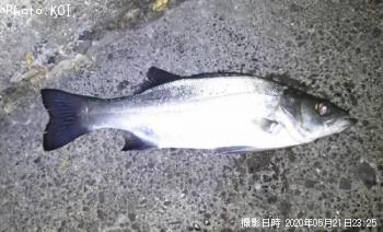 Х