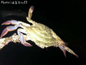 勵ꥬ