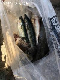 釣果