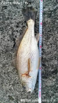 イシモチ