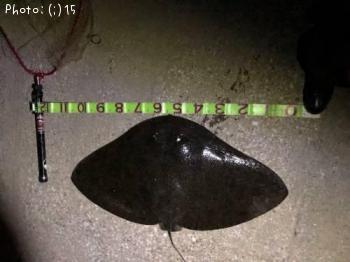 ĥХ