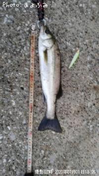 �����Х�