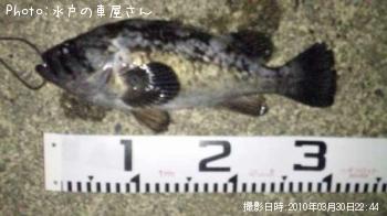 クロソイ
