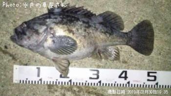 クロソイ