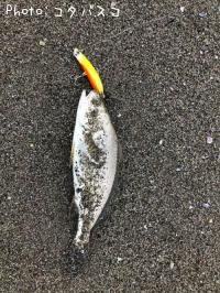 イシモチ