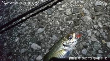 アジ