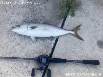 ʥ