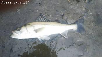 Х