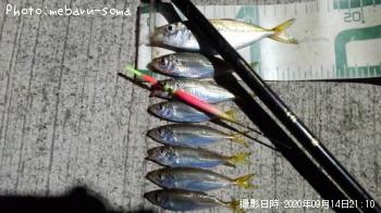 アジ