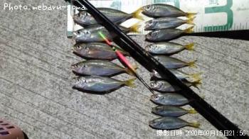 アジ