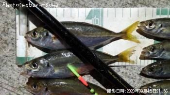 アジ