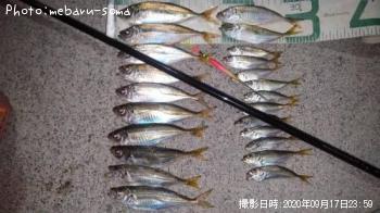 アジ