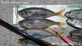 アジ