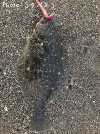 ҥ