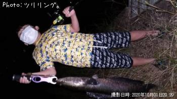 雷魚