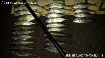 アジ