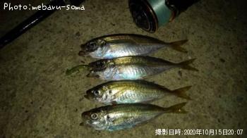 アジ