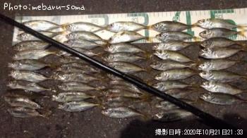 アジ