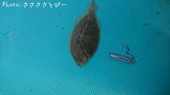 ѥ᡼ʥҥ饽ҥ