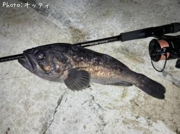 クロソイ