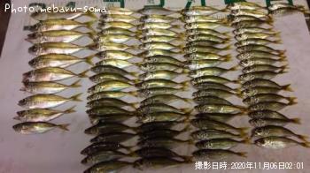 アジ