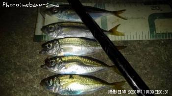 アジ